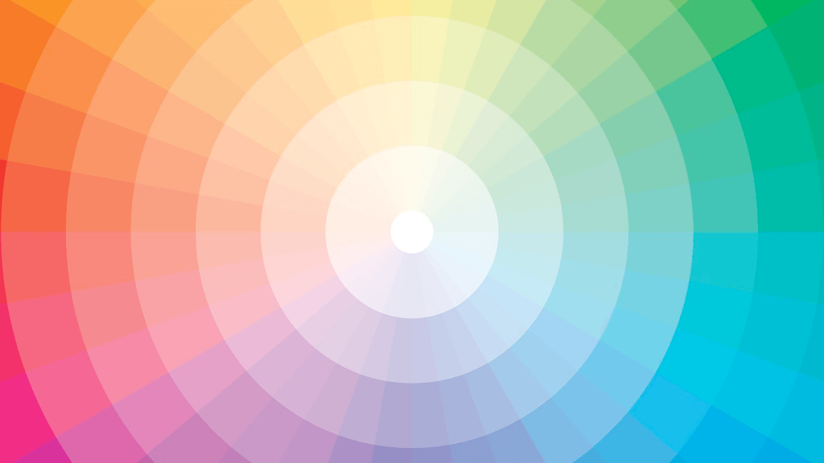 roda com diversas tonalidades de cores